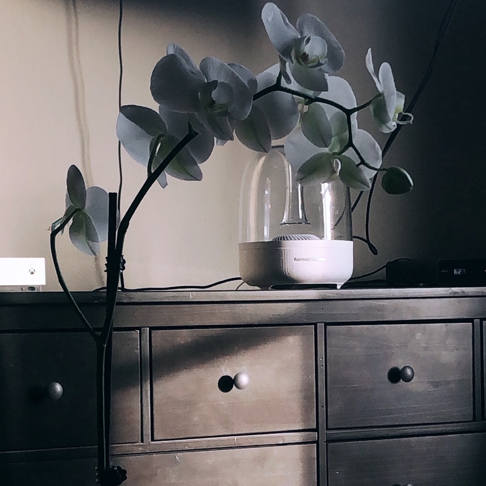 Meet your Posher, Panna